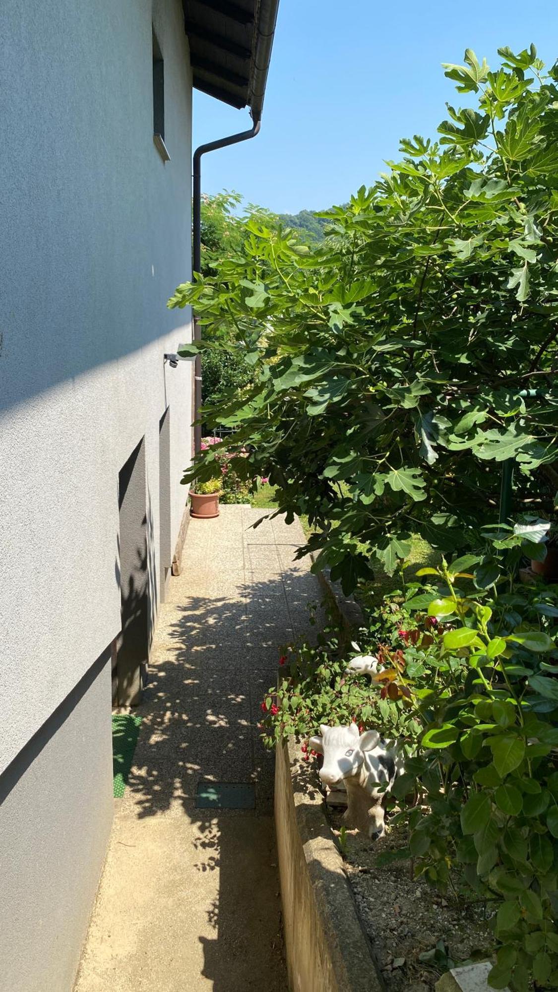 Semper Liberi Lägenhet Maribor Exteriör bild